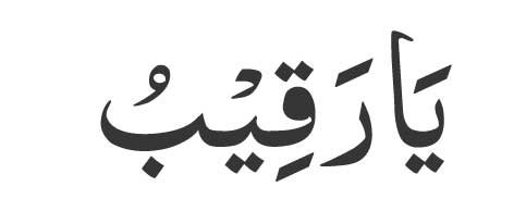 Ya Raqeb<br />
